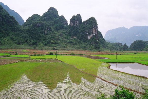 Cao Bằng – Thác Bản Giốc – Hồ Ba Bể 3N2Đ — ảnh 4