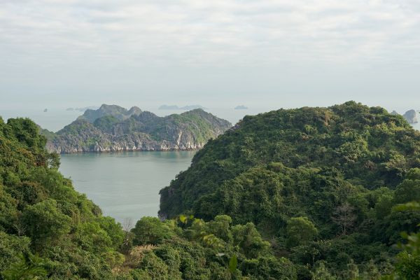 Cát Bà – Vịnh Lan Hạ – Chèo kayak 2N1Đ — ảnh 2