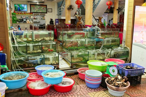 Cát Bà – Vịnh Lan Hạ – Chèo kayak 2N1Đ — ảnh 3