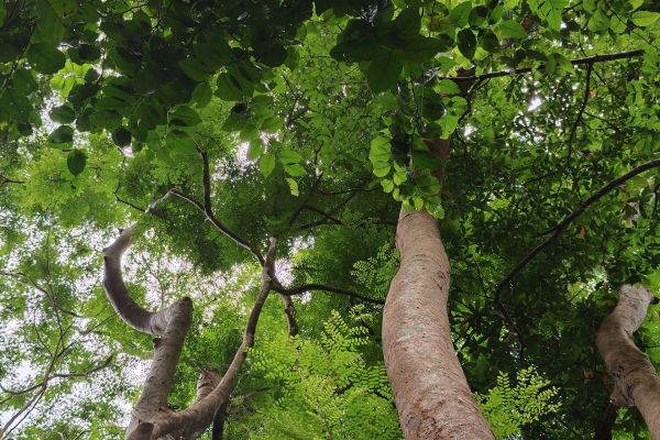 Côn Đảo tâm linh – Nghĩa trang Hàng Dương – Bãi Đầm Trầu 2N1Đ — ảnh 5