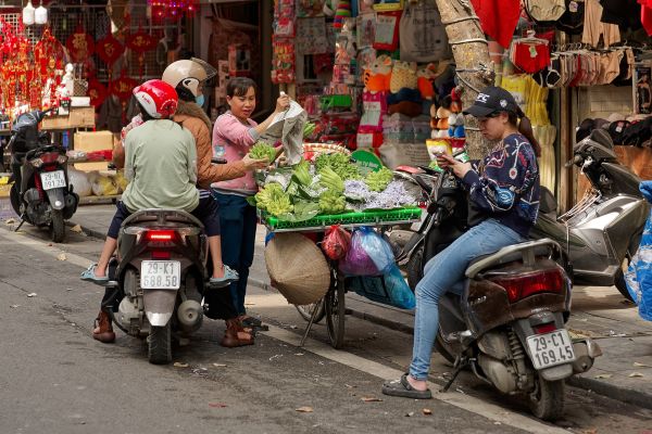 Hà Nội – Hạ Long – Ninh Bình – Sa Pa 5N4Đ (bay từ TP.HCM) — ảnh 3