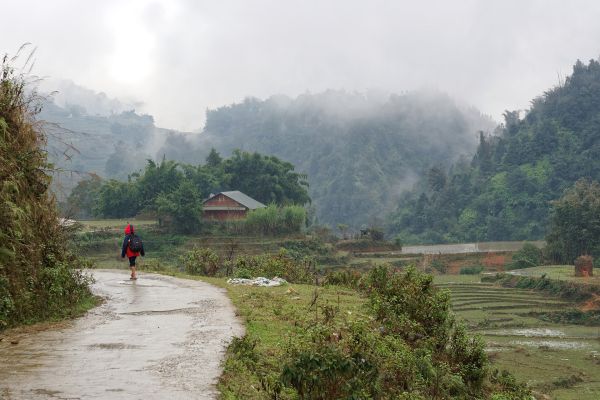Sa Pa – Fansipan – Bản Cát Cát – Ô Quy Hồ 3N2Đ