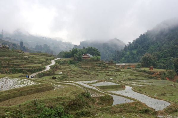 Sa Pa – Fansipan – Bản Cát Cát – Ô Quy Hồ 3N2Đ — ảnh 4